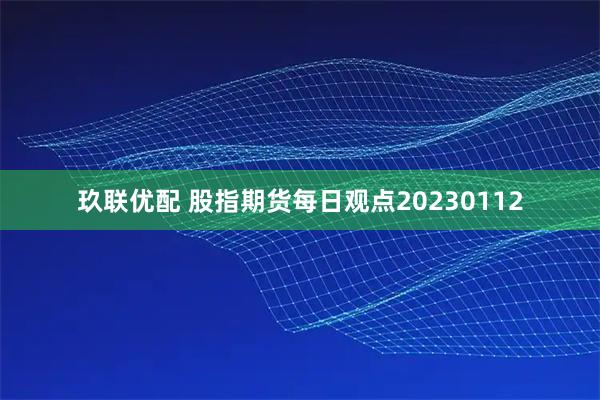 玖联优配 股指期货每日观点20230112