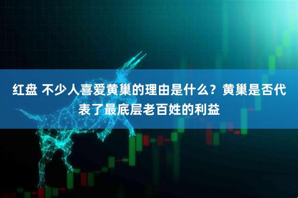 红盘 不少人喜爱黄巢的理由是什么？黄巢是否代表了最底层老百姓的利益