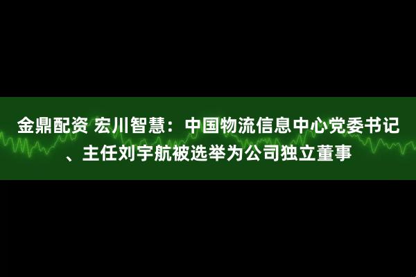 金鼎配资 宏川智慧：中国物流信息中心党委书记、主任刘宇航被选举为公司独立董事