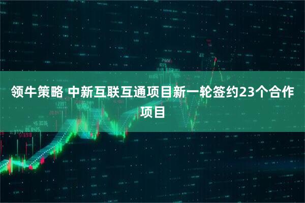 领牛策略 中新互联互通项目新一轮签约23个合作项目