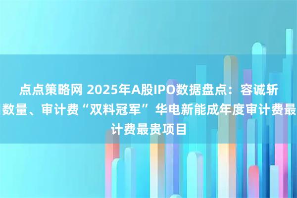 点点策略网 2025年A股IPO数据盘点：容诚斩获项目数量、审计费“双料冠军” 华电新能成年度审计费最贵项目