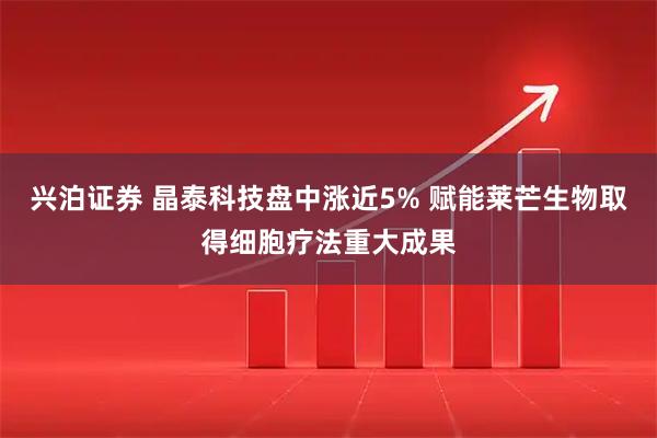 兴泊证券 晶泰科技盘中涨近5% 赋能莱芒生物取得细胞疗法重大成果