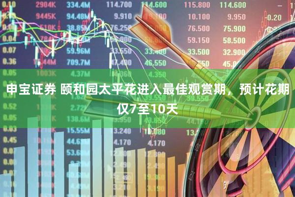 申宝证券 颐和园太平花进入最佳观赏期，预计花期仅7至10天